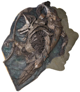 Stargate movie fossil (Propstore)